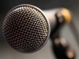 Der Newcomer-Audio-Contest